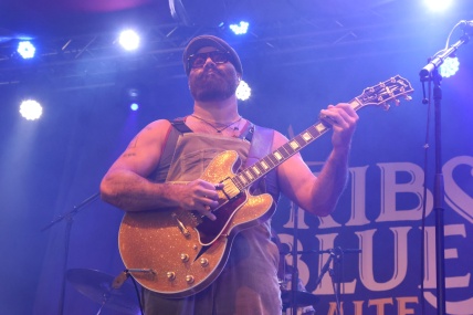 REV PEYTONS BIG DAMN BAND