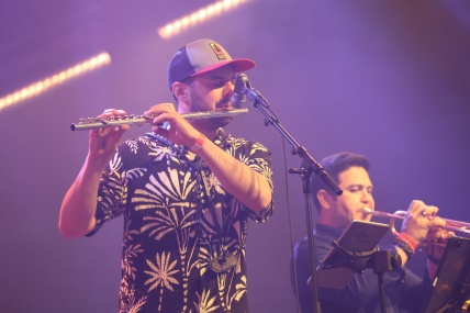 YOUNG GUN SILVER FOX