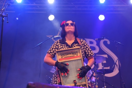 REV PEYTONS BIG DAMN BAND