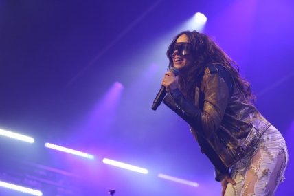 THE LAST INTERNATIONALE