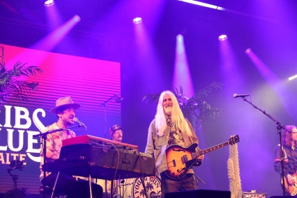 YOUNG GUN SILVER FOX