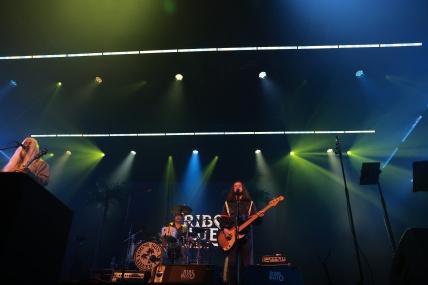 YOUNG GUN SILVER FOX